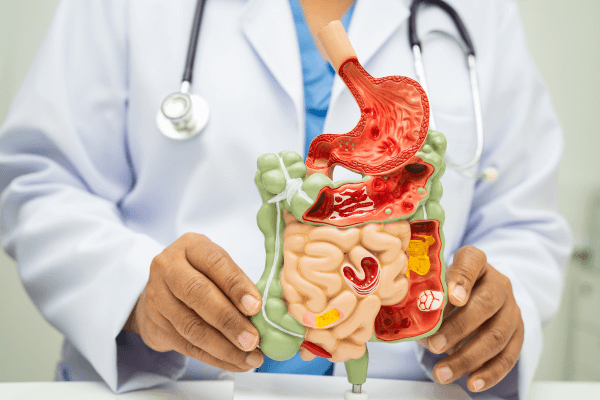 Ansiedade ou Disbiose? 7 Sinais de que seu Intestino está “Roubando” sua Paz Mental